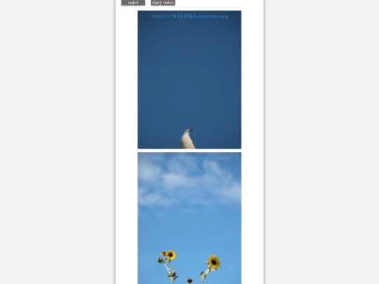 2023/hadaikon2023aug12 screenshot