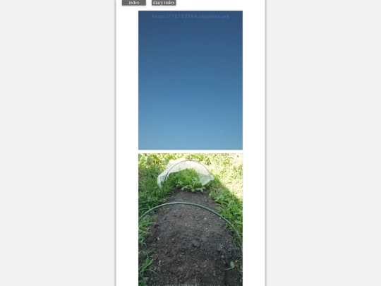 2023/hadaikon2023aug13 screenshot