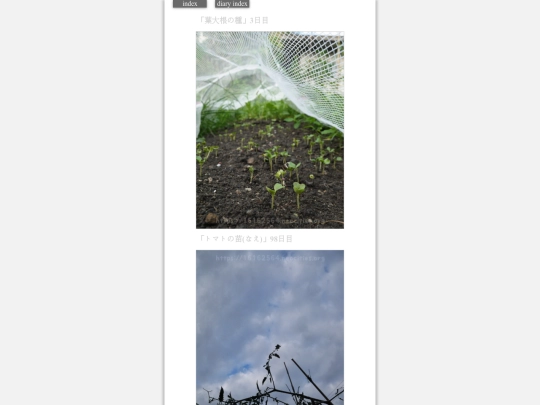 2023/hadaikon2023aug16 screenshot