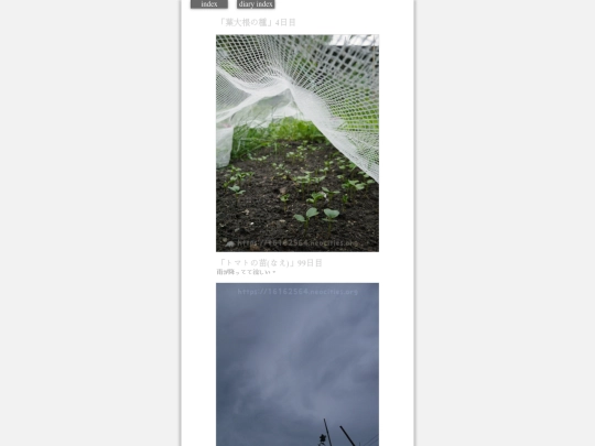 2023/hadaikon2023aug17 screenshot