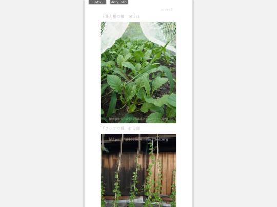 2023/hadaikon2023aug2 screenshot