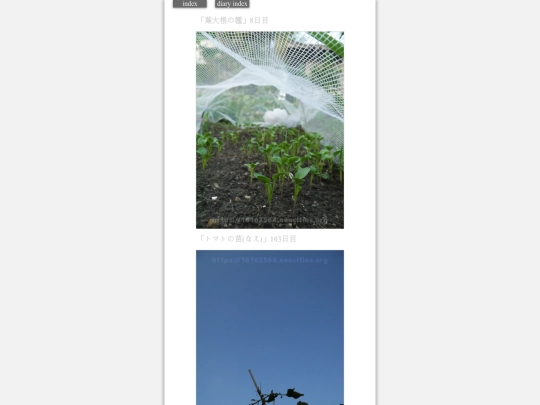2023/hadaikon2023aug21 screenshot