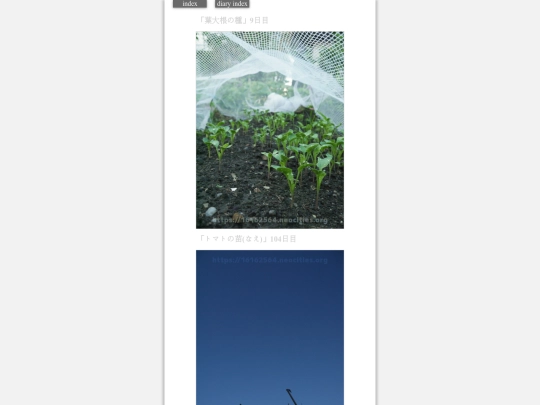 2023/hadaikon2023aug22 screenshot