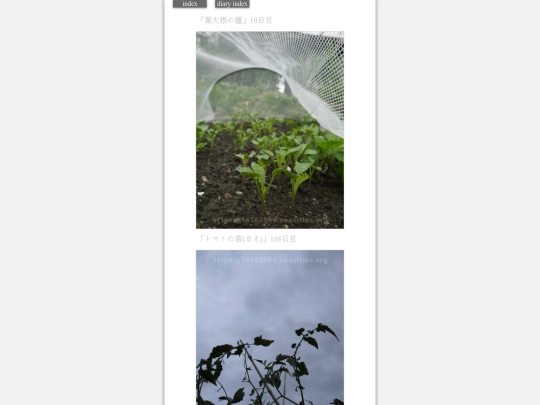 2023/hadaikon2023aug23 screenshot