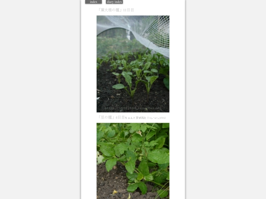 2023/hadaikon2023aug24 screenshot