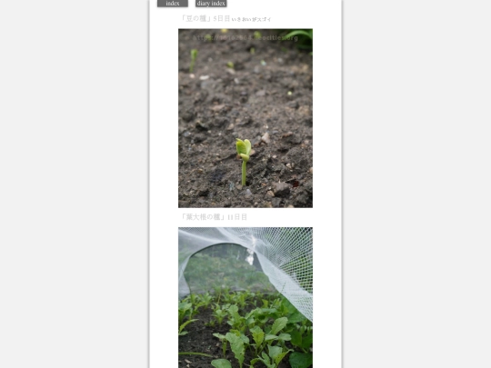 2023/hadaikon2023aug25 screenshot