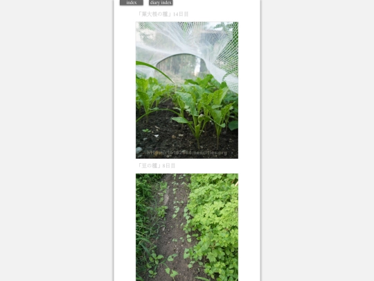 2023/hadaikon2023aug28 screenshot