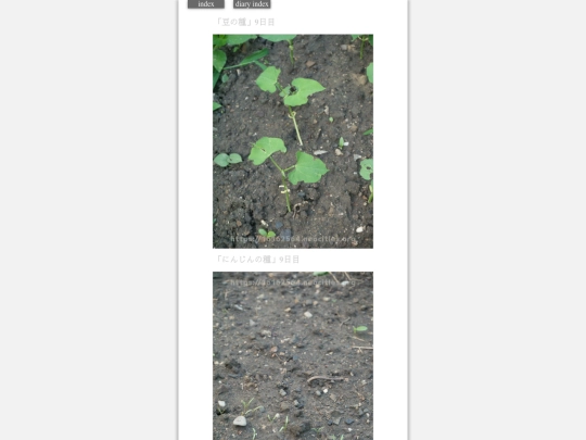2023/hadaikon2023aug29 screenshot