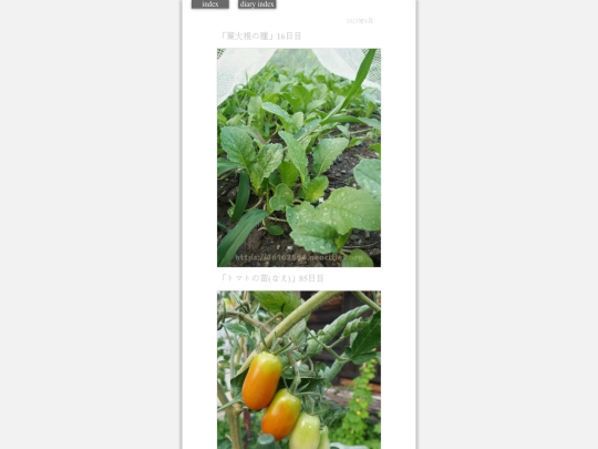 2023/hadaikon2023aug3 screenshot
