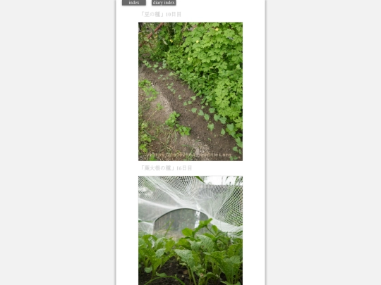 2023/hadaikon2023aug30 screenshot