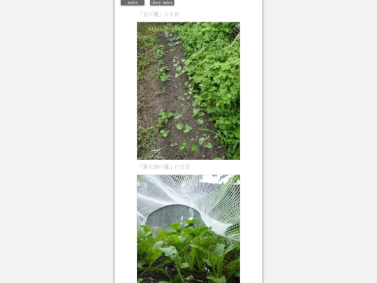 2023/hadaikon2023aug31 screenshot