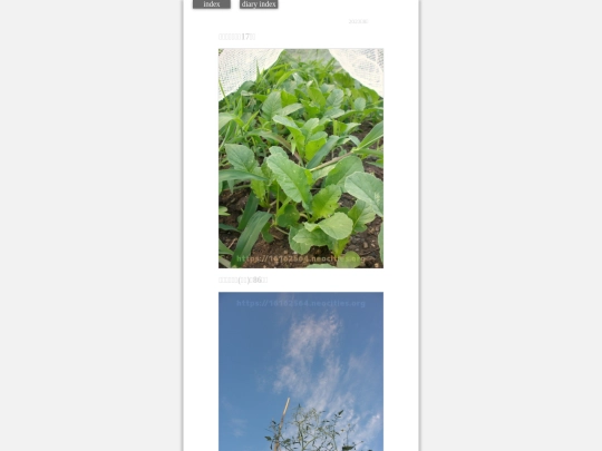 2023/hadaikon2023aug4 screenshot