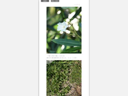 2023/hadaikon2023aug6 screenshot