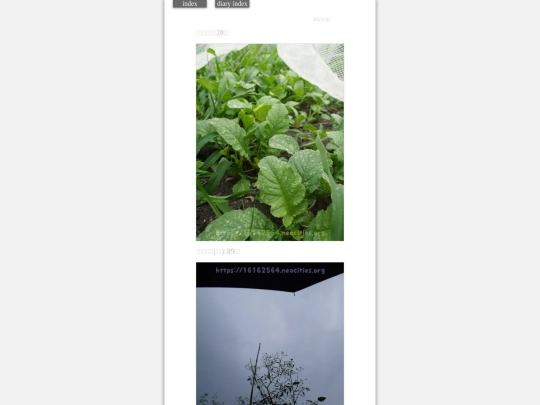 2023/hadaikon2023aug7 screenshot