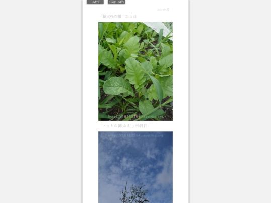 2023/hadaikon2023aug8 screenshot