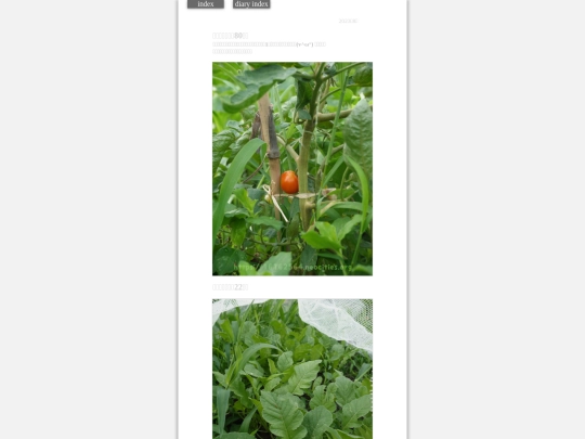 2023/hadaikon2023aug9 screenshot