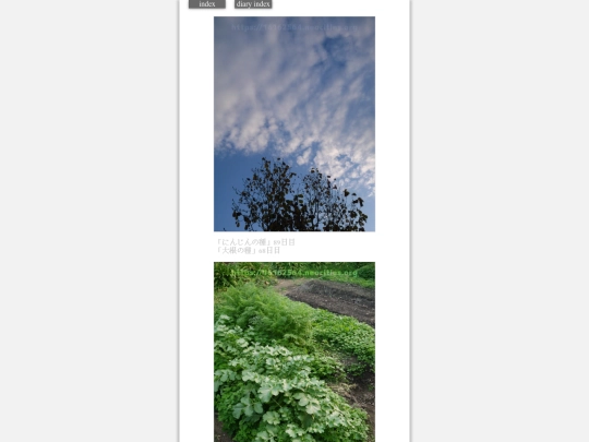 2023/hadaikon2023dec1 screenshot