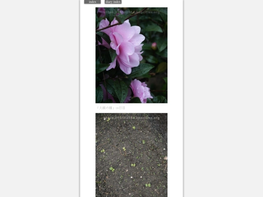 2023/hadaikon2023dec12 screenshot