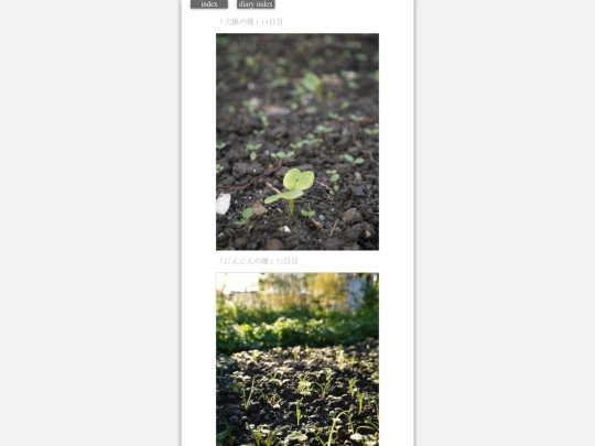 2023/hadaikon2023dec13 screenshot