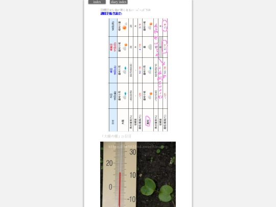 2023/hadaikon2023dec15 screenshot