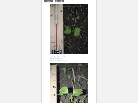 2023/hadaikon2023dec18 screenshot