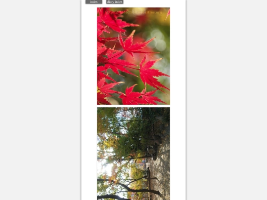 2023/hadaikon2023dec2 screenshot