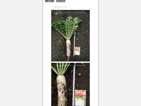 2023/hadaikon2023dec21 screenshot