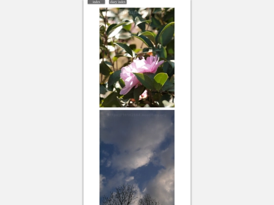 2023/hadaikon2023dec29 screenshot