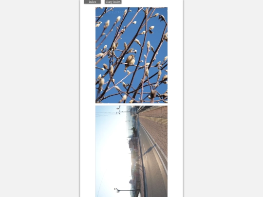 2023/hadaikon2023dec30 screenshot