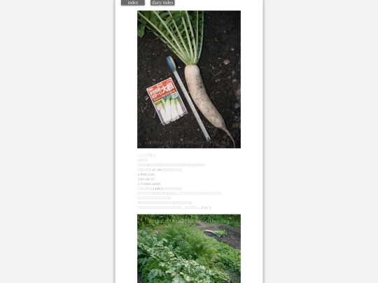 2023/hadaikon2023dec4 screenshot