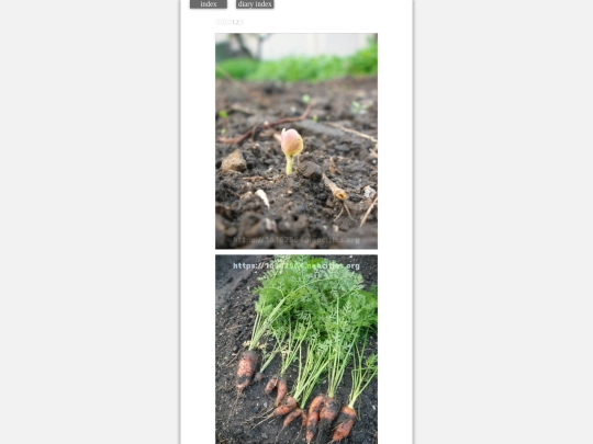 2023/hadaikon2023dec6 screenshot