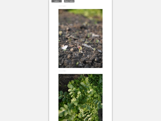 2023/hadaikon2023dec7 screenshot