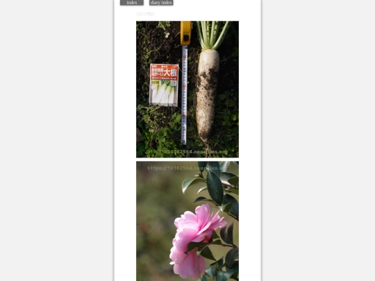 2023/hadaikon2023dec8 screenshot