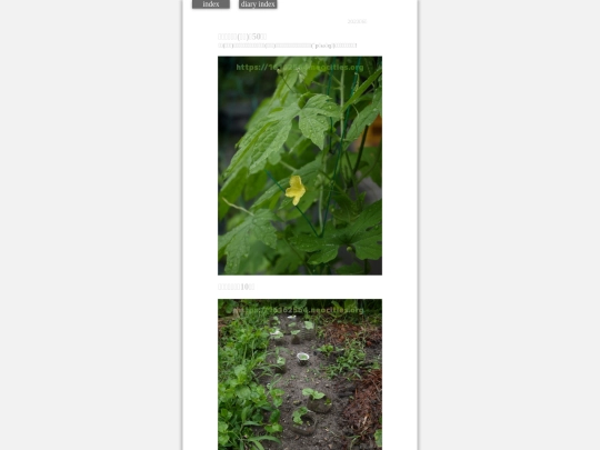 2023/hadaikon2023jul1 screenshot