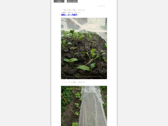 2023/hadaikon2023jul10 screenshot