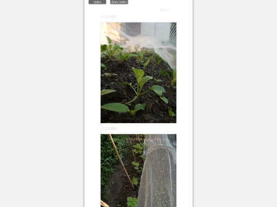 2023/hadaikon2023jul11 screenshot