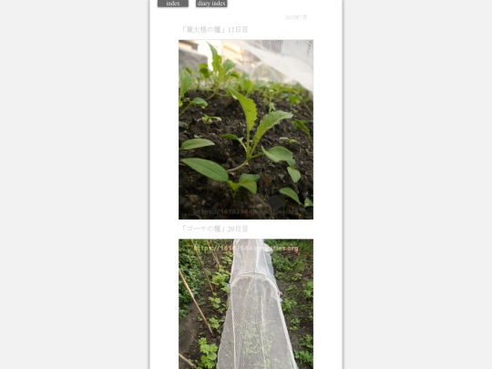 2023/hadaikon2023jul12 screenshot
