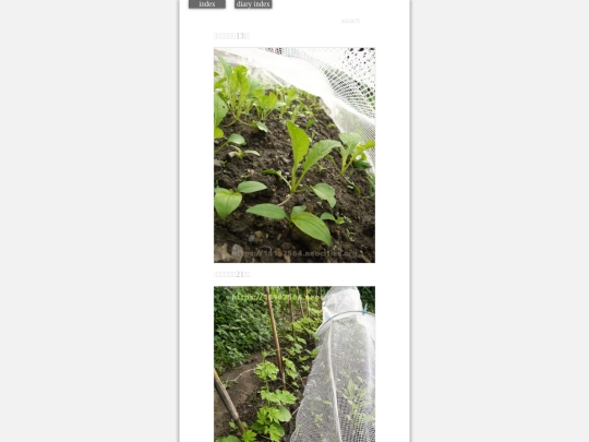 2023/hadaikon2023jul13 screenshot