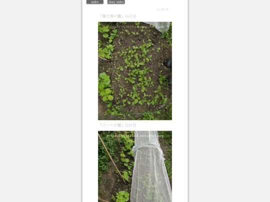 2023/hadaikon2023jul14 screenshot