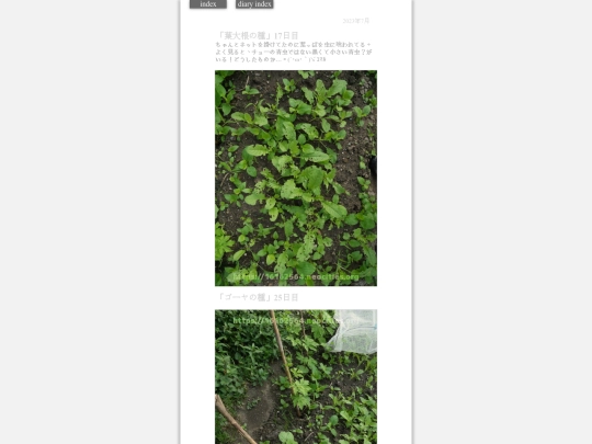 2023/hadaikon2023jul17 screenshot