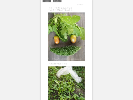 2023/hadaikon2023jul18 screenshot