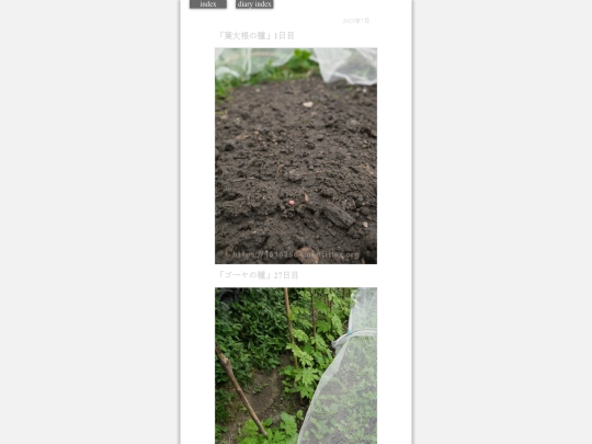 2023/hadaikon2023jul19 screenshot