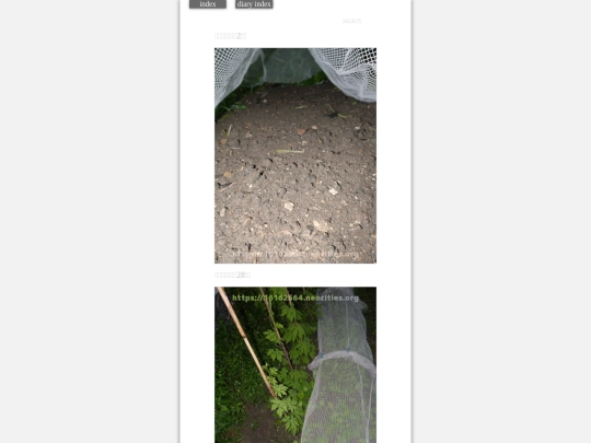 2023/hadaikon2023jul20 screenshot