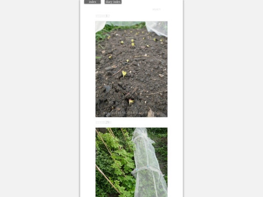2023/hadaikon2023jul21 screenshot