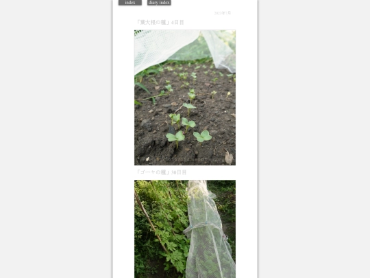 2023/hadaikon2023jul22 screenshot