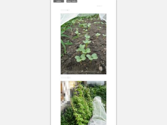 2023/hadaikon2023jul24 screenshot
