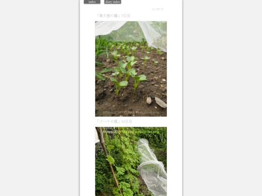2023/hadaikon2023jul25 screenshot