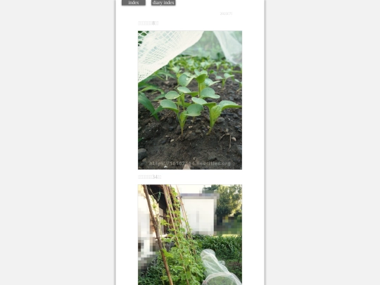 2023/hadaikon2023jul26 screenshot