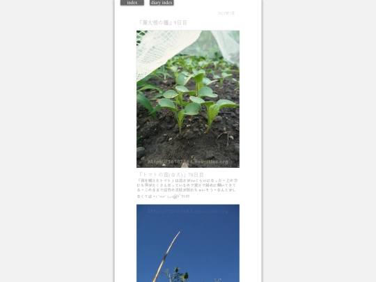 2023/hadaikon2023jul27 screenshot