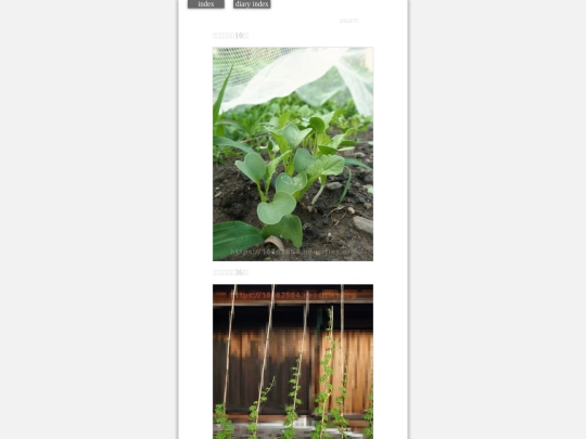 2023/hadaikon2023jul28 screenshot